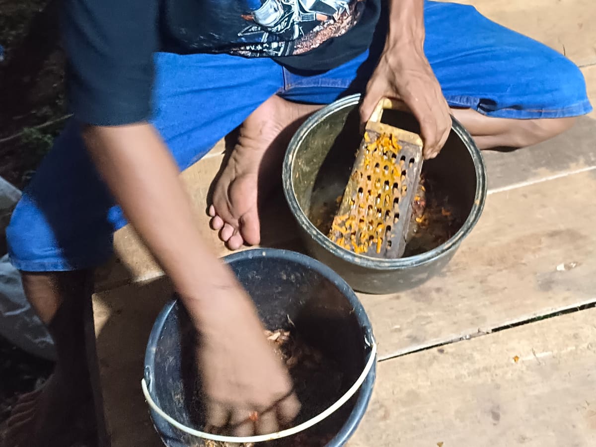 Meningkatkan Produksi Telur dengan Jamu Kunyit: Inovasi Program Ketahanan Pangan BUMDes Pagar Bumi Sejahtera Desa Setupatok