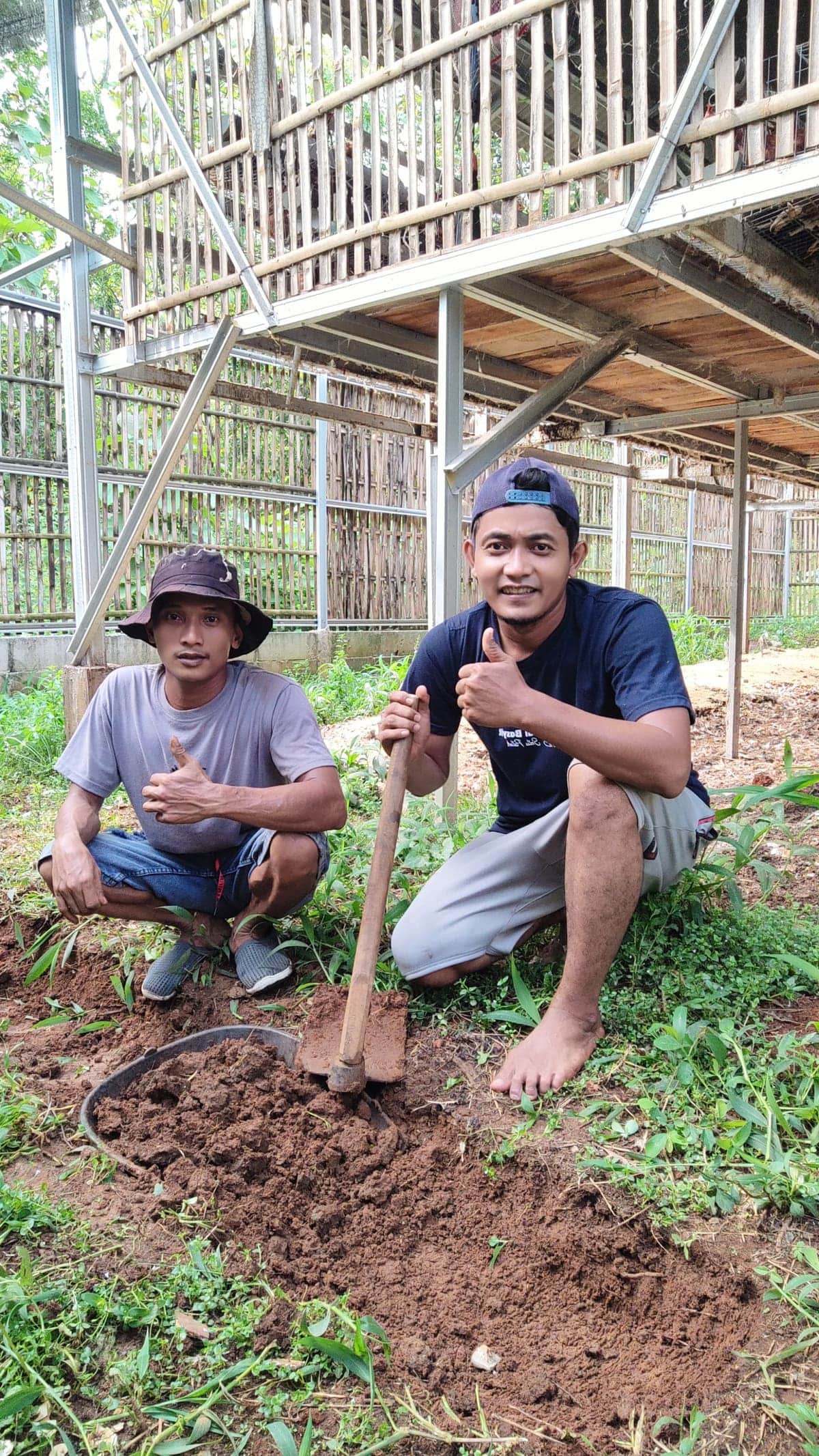 Langkah Sigap BUMDes Pagar Bumi Sejahtera Atasi Bahaya Amonia di Kandang Ayam